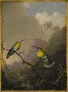 Martin Johnson Heade Two Humming Birds oil on canvas